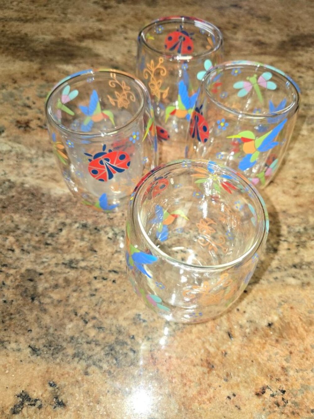 Temp-tations Set-of-4 Double Wall Drinking Glasses (Garden), 12-oz, Glass K73761